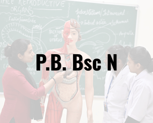P.B Bsc. Nursing